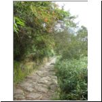 72 inca trail.jpg